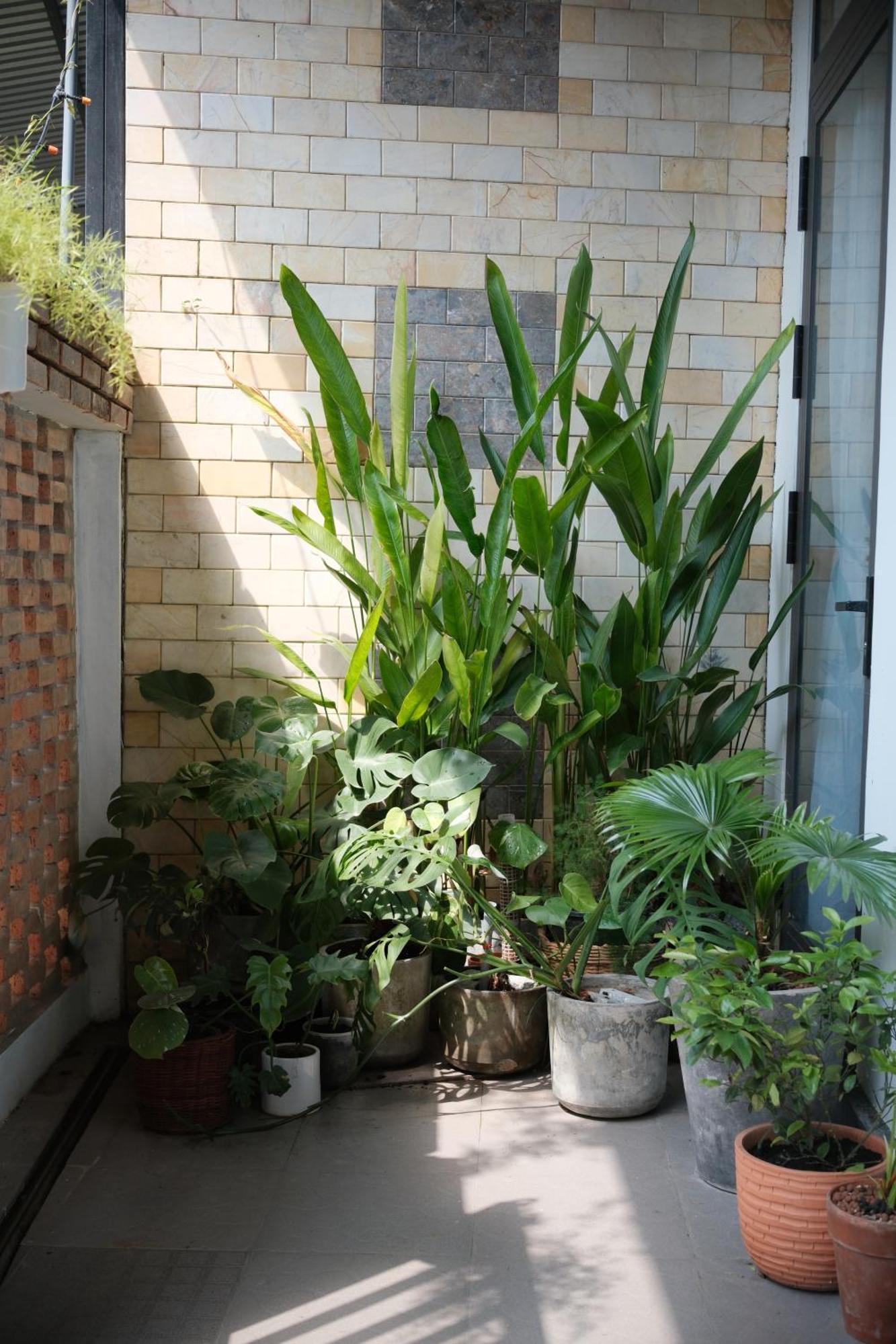 Glory Hue Homestay Buitenkant foto
