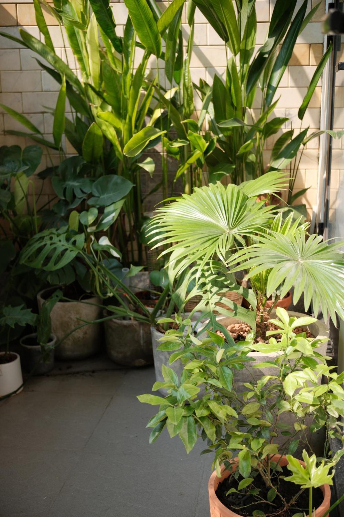 Glory Hue Homestay Buitenkant foto